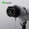 GB Standards DC Charging Connector Plug 80A 750V Single Phase EV Charger with 5 Meters Cable